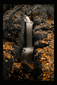 Kennal Vale, waterfall, black and white with some colour